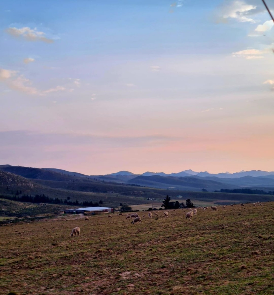 Commercial Property for Sale in Avontuur Western Cape